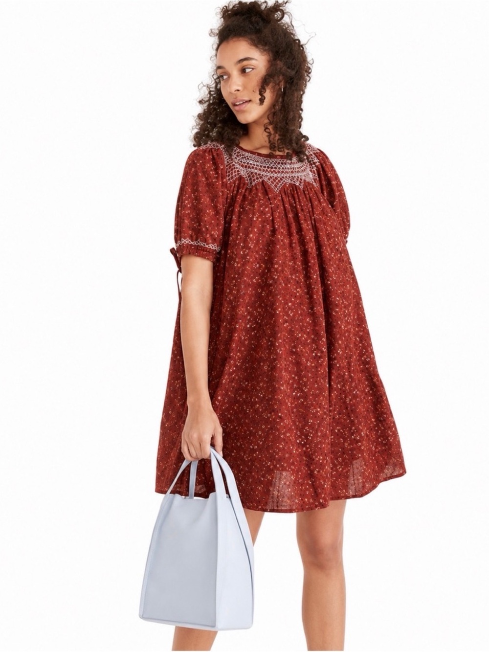 Madewell Rust Red Embroidered Swing Dress